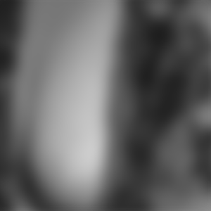 Sandrine - rencontre-Cougar-Rennes